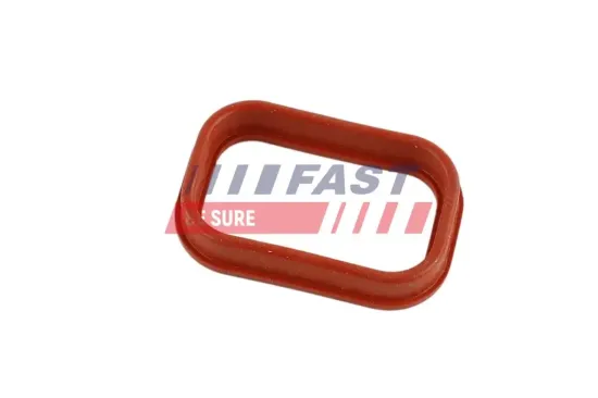 Dichtung, Ansaugkrümmer Ausgang FAST FT49435 Bild Dichtung, Ansaugkrümmer Ausgang FAST FT49435