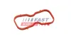 Dichtung, Ansaugkrümmer FAST FT49450 Bild Dichtung, Ansaugkrümmer FAST FT49450