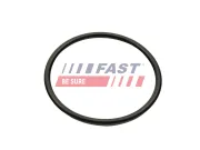 Dichtung, Ansaugkrümmer Ausgang FAST FT49460