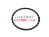 Dichtung, Ansaugkrümmer Ausgang FAST FT49460 Bild Dichtung, Ansaugkrümmer Ausgang FAST FT49460