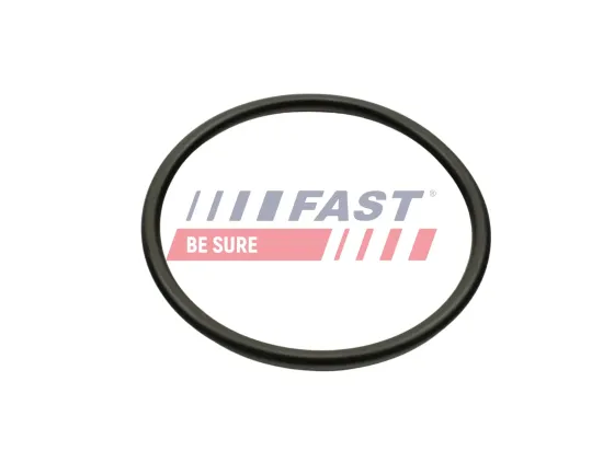 Dichtung, Ansaugkrümmer Ausgang FAST FT49460 Bild Dichtung, Ansaugkrümmer Ausgang FAST FT49460
