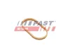 Dichtung, Ansaugkrümmer Eingang FAST FT49461 Bild Dichtung, Ansaugkrümmer Eingang FAST FT49461