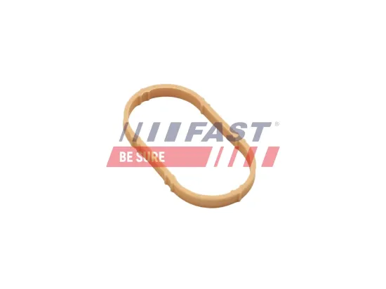 Dichtung, Ansaugkrümmer Eingang FAST FT49461 Bild Dichtung, Ansaugkrümmer Eingang FAST FT49461