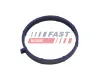 Dichtung, Ansaugkrümmer FAST FT49467 Bild Dichtung, Ansaugkrümmer FAST FT49467