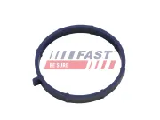 Dichtung, Ansaugkrümmer FAST FT49467