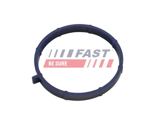 Dichtung, Ansaugkrümmer FAST FT49467 Bild Dichtung, Ansaugkrümmer FAST FT49467
