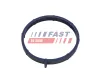 Dichtung, Ansaugkrümmer FAST FT49467 Bild Dichtung, Ansaugkrümmer FAST FT49467
