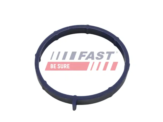 Dichtung, Ansaugkrümmer FAST FT49467 Bild Dichtung, Ansaugkrümmer FAST FT49467