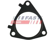 Dichtung, AGR-Ventil FAST FT49546