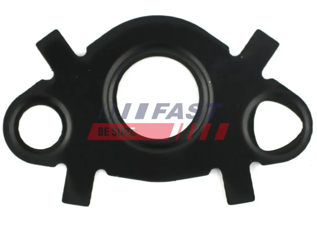 Dichtring, Ölkühler (Schmierung) FAST FT49547