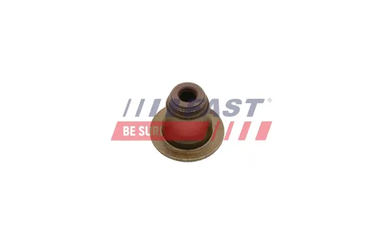 Dichtring, Ventilschaft FAST FT49617 Bild Dichtring, Ventilschaft FAST FT49617
