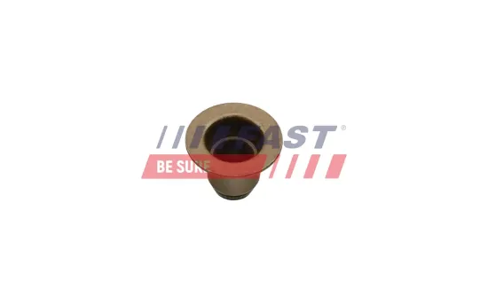Dichtring, Ventilschaft FAST FT49617 Bild Dichtring, Ventilschaft FAST FT49617
