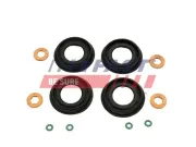 Dichtungssatz, Einspritzdüse FAST FT49654