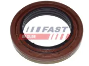 Wellendichtring, Differential hintere Gelenkwelle an Differential FAST FT49785