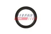 Wellendichtring, Kurbelwelle stirnseitig FAST FT49819