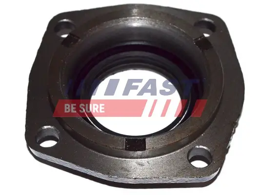 Wellendichtring, Differential getriebeseitig FAST FT49838