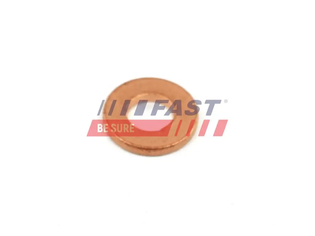 Wärmeschutzscheibe, Einspritzanlage FAST FT49848