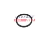 Dichtring, Ladeluftschlauch FAST FT49854 Bild Dichtring, Ladeluftschlauch FAST FT49854