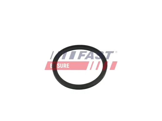 Dichtring, Ladeluftschlauch FAST FT49854 Bild Dichtring, Ladeluftschlauch FAST FT49854