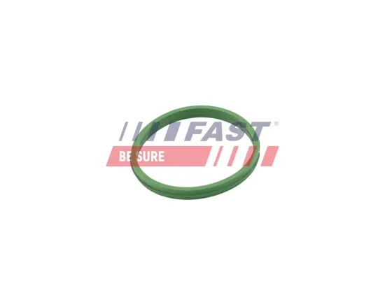 Dichtring, Ladeluftschlauch FAST FT49855 Bild Dichtring, Ladeluftschlauch FAST FT49855