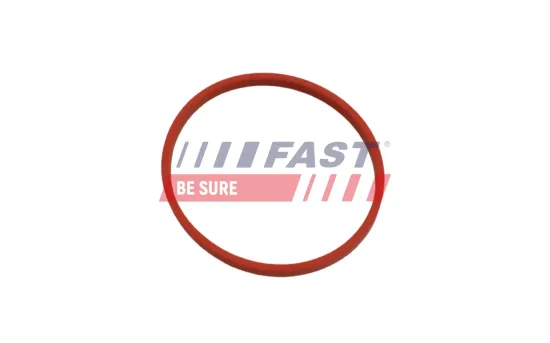 Dichtung, Leitung AGR-Ventil FAST FT49868 Bild Dichtung, Leitung AGR-Ventil FAST FT49868