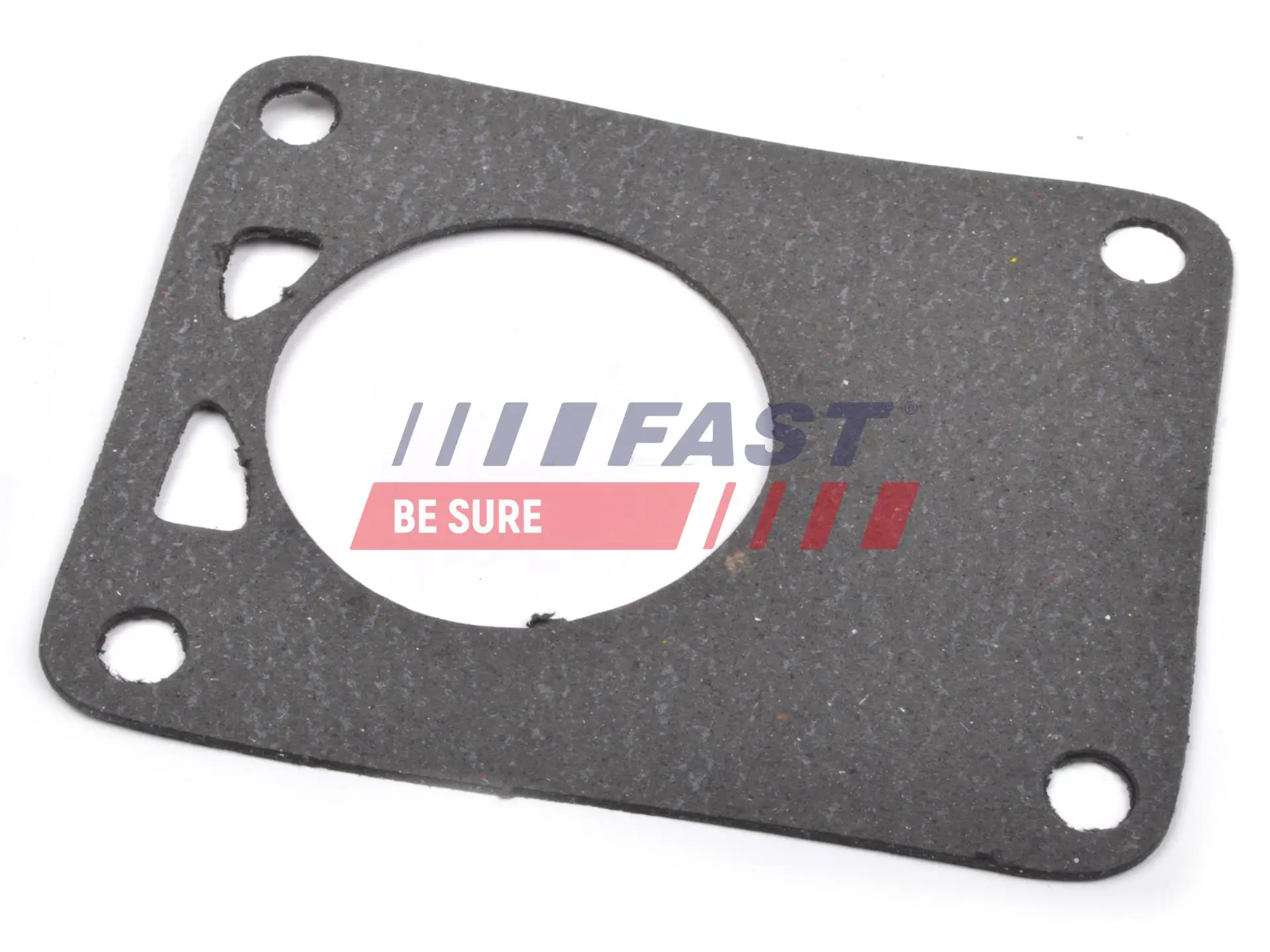 Dichtung, Unterdruckpumpe FAST FT49901