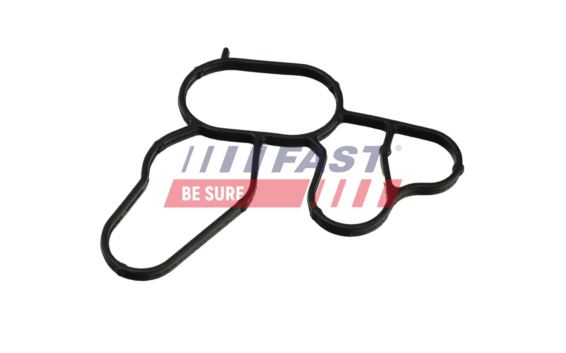 Dichtring, Ölkühler (Schmierung) FAST FT49912