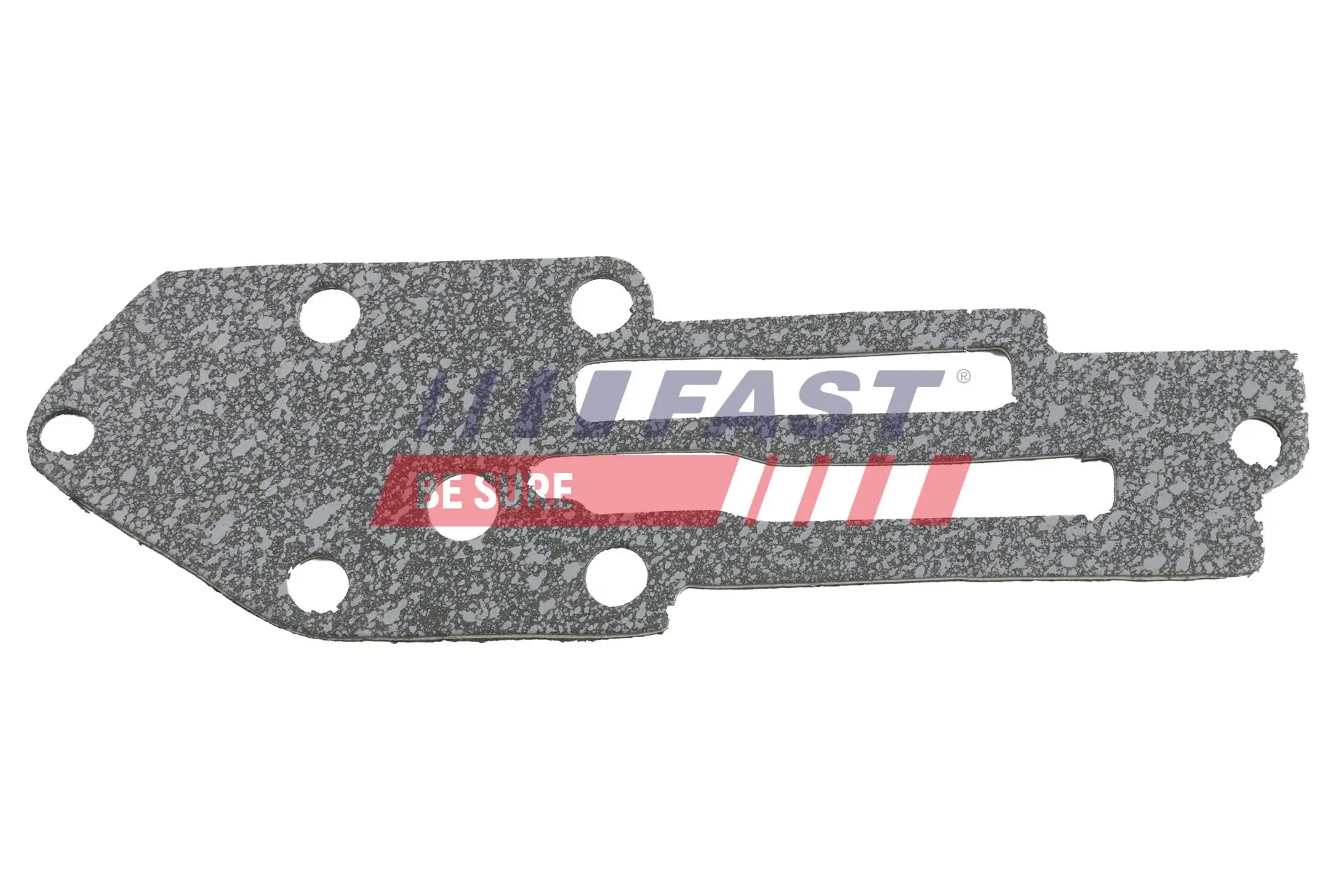Dichtring, Ölkühler (Schmierung) FAST FT49916