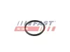 Dichtung, Thermostat FAST FT49917