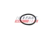Dichtring, Kühlmittelrohrleitung FAST FT49918