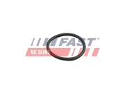 Dichtung, Kühlmittelrohrleitung FAST FT49918