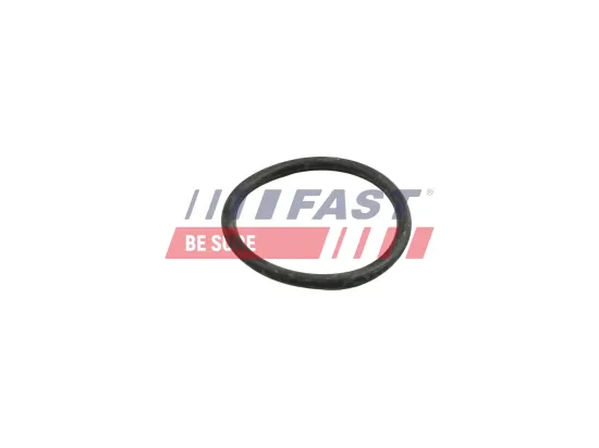 Dichtung, Kühlmittelrohrleitung FAST FT49918 Bild Dichtung, Kühlmittelrohrleitung FAST FT49918
