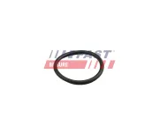 Dichtring, Kühlmittelrohrleitung FAST FT49919