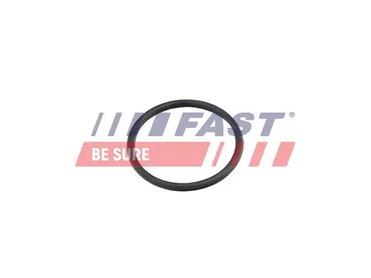 Dichtung, Kühlmittelrohrleitung FAST FT49920 Bild Dichtung, Kühlmittelrohrleitung FAST FT49920