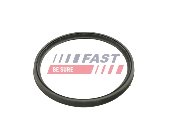 Dichtring, Ladeluftschlauch FAST FT49922 Bild Dichtring, Ladeluftschlauch FAST FT49922