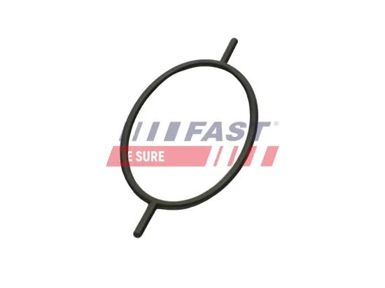 Dichtring, Kühlerverschlussschraube FAST FT49923 Bild Dichtring, Kühlerverschlussschraube FAST FT49923