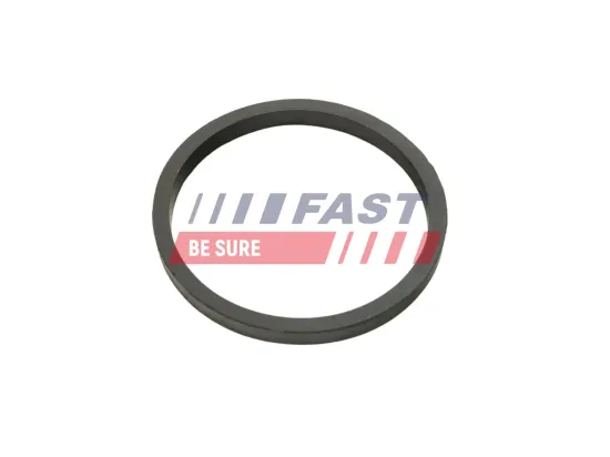 Dichtring, Ölkühler (Schmierung) FAST FT49924 Bild Dichtring, Ölkühler (Schmierung) FAST FT49924