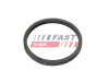 Dichtring, Ölkühler (Schmierung) FAST FT49924 Bild Dichtring, Ölkühler (Schmierung) FAST FT49924