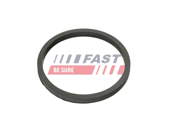Dichtring, Ölkühler (Schmierung) FAST FT49924 Bild Dichtring, Ölkühler (Schmierung) FAST FT49924