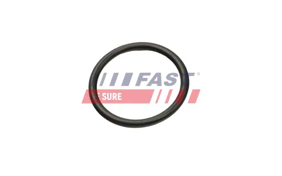 Dichtung, Kühlmittelrohrleitung FAST FT49927 Bild Dichtung, Kühlmittelrohrleitung FAST FT49927