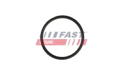 Dichtung, Kühlmittelrohrleitung FAST FT49931