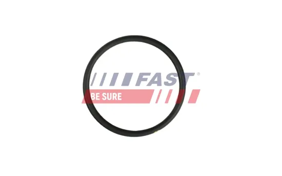 Dichtung, Kühlmittelrohrleitung FAST FT49931 Bild Dichtung, Kühlmittelrohrleitung FAST FT49931