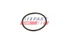 Dichtring, Ladeluftschlauch FAST FT49933 Bild Dichtring, Ladeluftschlauch FAST FT49933