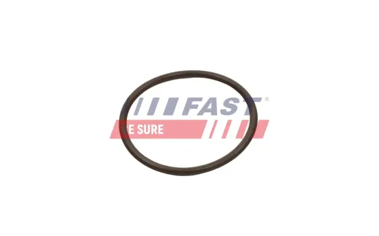 Dichtring, Ladeluftschlauch FAST FT49933 Bild Dichtring, Ladeluftschlauch FAST FT49933