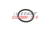 Dichtung, Wasserpumpe Wasserpumpe FAST FT49934 Bild Dichtung, Wasserpumpe Wasserpumpe FAST FT49934