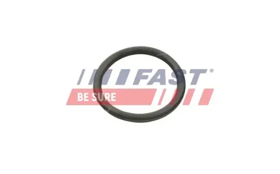 Dichtung, Wasserpumpe Wasserpumpe FAST FT49934 Bild Dichtung, Wasserpumpe Wasserpumpe FAST FT49934