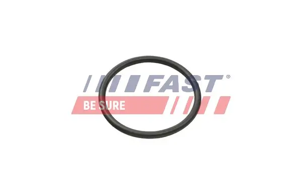 Dichtring, Kühlmittelschlauch FAST FT49935