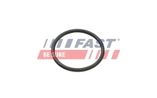Dichtring, Kühlmittelschlauch FAST FT49935 Bild Dichtring, Kühlmittelschlauch FAST FT49935