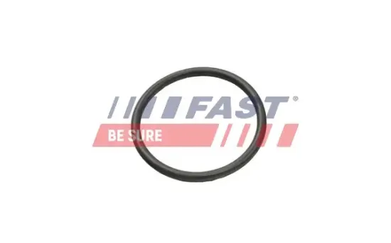 Dichtring, Kühlmittelschlauch FAST FT49935 Bild Dichtring, Kühlmittelschlauch FAST FT49935