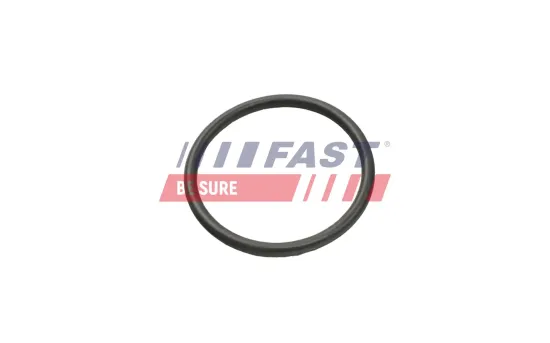 Dichtring, Ladeluftschlauch FAST FT49935 Bild Dichtring, Ladeluftschlauch FAST FT49935
